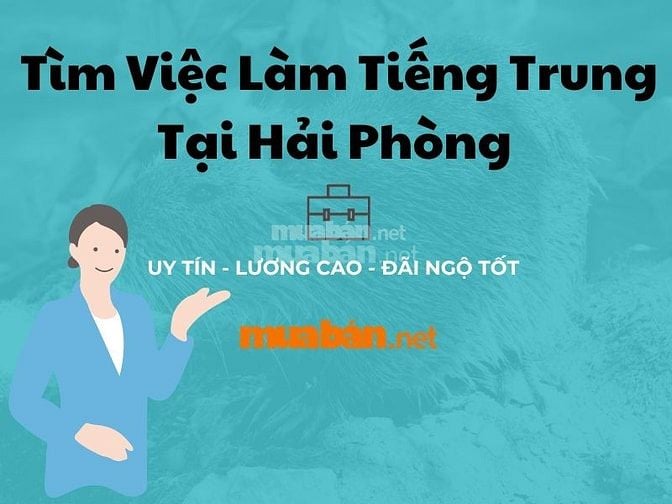 Tìm việc làm tiếng Trung Hải Phòng uy tín, chất lượng tại Muaban.net 