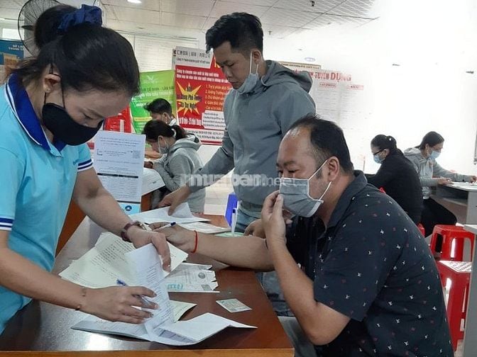 Thị trường tìm việc làm không yêu cầu kinh nghiệm