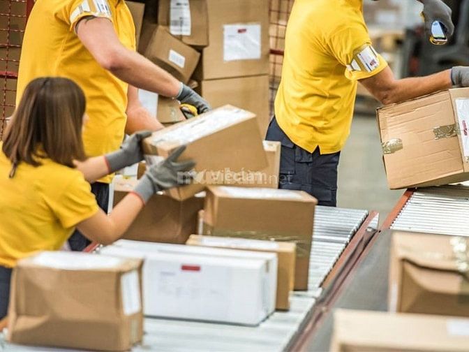 Nhân viên đóng gói, sắp xếp hàng hóa 