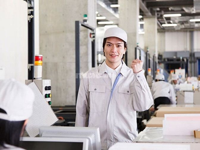 Những lưu ý quan trọng khi tìm việc thời vụ tại Tân Bình