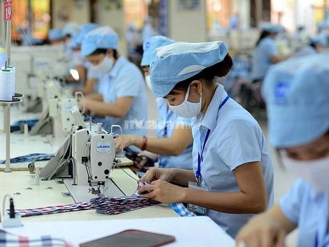 Công nhân may mặc là công việc thời vụ mang lại nguồn thu nhập ổn định cho bạn