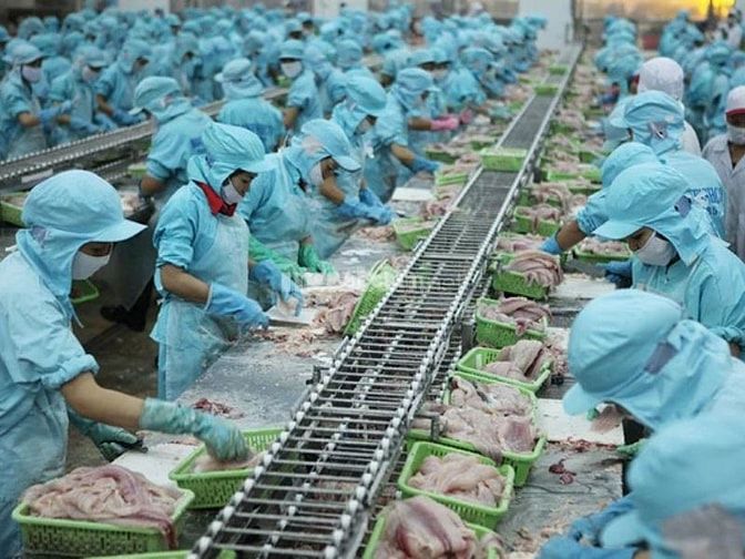 Công nhân chế biến thủy sản