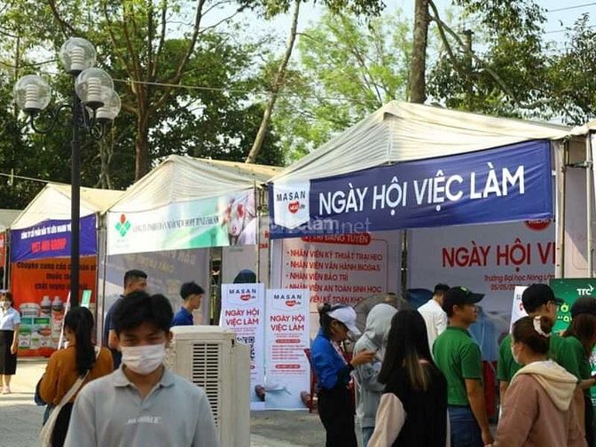Nhu cầu tuyển dụng tại ngày hội việc làm tương đối cao