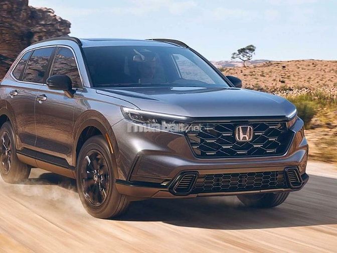 Honda CR-V là dòng xe 7 chỗ cũ nên mua 