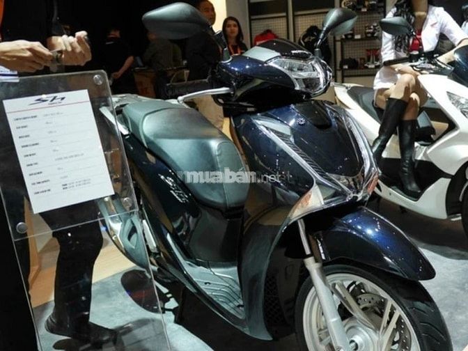 Kiểm tra cả bên trong và ngoài của xe