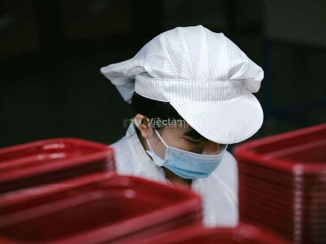 Nhân viên phụ bếp thời vụ