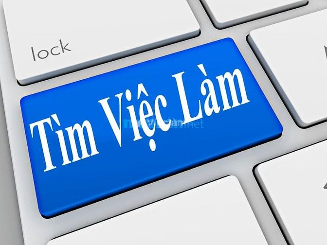 Thị trường việc làm thời vụ tại Bình Dương T5/2025