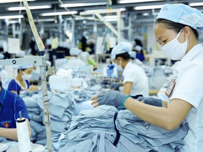 Thị trường tuyển dụng thợ cắt vải tại Bình Dương hiện nay