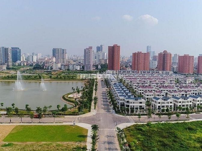 Quan sát kỹ môi trường sống xung quanh