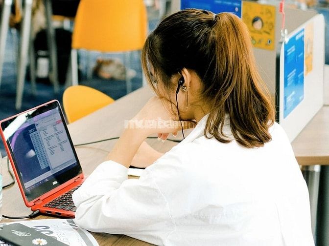 Việc làm nhân viên admin