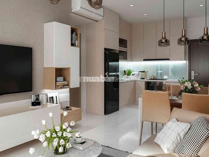 Nhu cầu mua chung cư 800 triệu