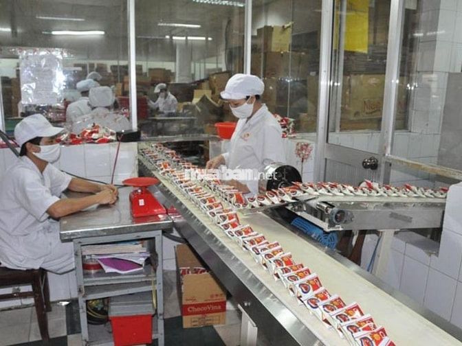Xem kỹ bản mô tả, yêu cầu công việc