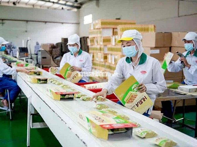 Nhu cầu tuyển nhân viên đóng gói bánh kẹo TPHCM