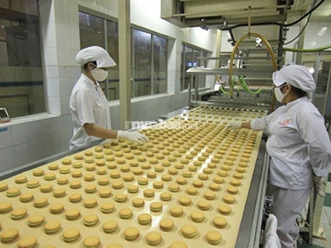 Mô tả việc làm đóng gói bánh kẹo
