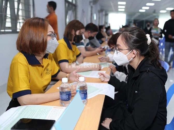 Tìm việc làm thời vụ Quy Nhơn tại các nguồn uy tín