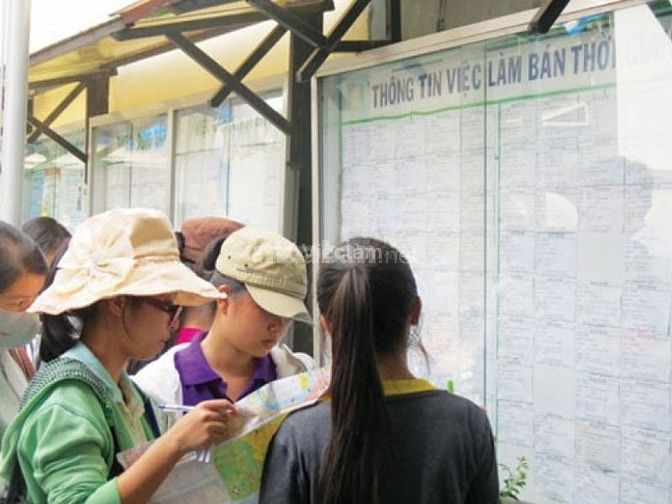 Công việc thời vụ Quy Nhơn lương cao mới nhất T6/2025