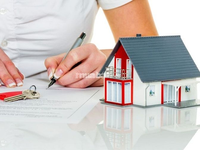Tìm mua tại những nơi uy tín