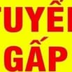Mẫu Giáo Thanh Ngọc Tuyển Giáo Viên, Lương Cao