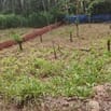 Chính Chủ, Bán Gấp Đất Châu Đức , Góc 2 mặt tiền 8x20m ( 160m2)