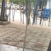 Tuyển nhân viên đấm lưng massage