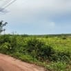 bán 20 ha đất ngang mặt tiến 500m ngoài sau mặt suối 600m