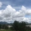 Cho thuê dài hạn đất biệt thự 2 MT đường Nguyễn Hữu Cảnh 