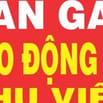 CẦN TUYÊN NAM NỮ PHỤ LÀM THỜI VỤ HOẶC LÀM LÂU DÀI ĐI LÀM NGAY