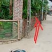 Bán đất thổ cư ở thôn Từ Hồ, Xã Yên Phú, Huyện Yên Mỹ.Tỉnh Hưng Yên