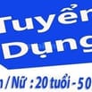 Tuyển nam/nữ (20 - 50 tuổi) làm việc cho người nước ngoài