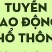 Cần tuyển Nhân viên nam LĐPT, làm hành chính, nghỉ chủ nhật,