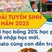CẦN TUYỂN GIÁO VIÊN MẦM NON CÓ BẰNG SƯ PHẠM MẦM NON