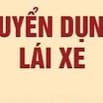 Cty CPDV Vận Tải Quốc Tế Tùng Bách Cần tuyển thêm 3 lái bằng D