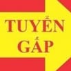 Salon Tommy, Cần tuyển: 1 thợ phụ tóc Nữ. Làm việc lâu dài