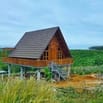 Đón đầu cao tốc Đắk Nông 280 Triệu/sổ riêng 1050m2 mặt đường NHỰA 10m