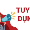 TUYỂN GẤP 5 BẠN PHỎNG VẤN ĐI LÀM NGAY