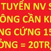 Tuyển gấp 6 NV sale thuê nhà phố - không cần KN, lương cứng 15tr + TH