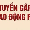 Cần tuyển gấp lao động phổ thông
