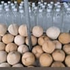 Tuyển nhân viên bán hàng- Dừa Xiêm Tuấn Xuyên