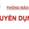 CTY CẦN NAM/NỮ LĐPT ĐÓNG GÓI & VÃN PHÒNG HÀNH CHÍNH  CSKH LÀM LÂU DÁI 