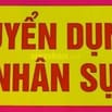 Tuyển Lái xe trên 7 năm kinh nghiệm, tiếng Anh giao tiếp