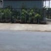 Bán nhà MT Hương Lộ 20 Ấp Phước Kế, xã Phước Lâm, Cần Giuộc, Long An
