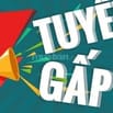 CẦN TUYỂN NỮ PHỤ BÁN QUÁN CƠM, BAO ĂN BỮA TRƯA, LÀM VIỆC TẠI QUẬN 3