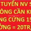 Tuyển gấp 6 NV sale thuê nhà phố, không cần KN, lương cứng 15tr+thưởng