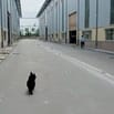 Nhà xưởng mới xây dựng 5500m2 và 11.000m2 trong KCN Đức Hòa, Long an 