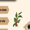 Việc làm thêm cho Sinh viên tại Tân Phú
