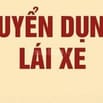 Tuyển tài xế lái xe 7 chỗ chở Sếp