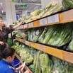 Siêu Thị Co.opmart Tuyển NV Bảo Vệ, Bán Hàng, Thu Ngân, Kho, Giao Hàng