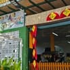 Mầm non Niềm Tin Việt cần tuyển Giáo Viên-Bảo Mẫu Mầm Non 