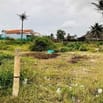 BÁN LÔ ĐẤT 1300m  Siêu phẩm gà đẻ trứng vàng