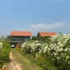 Tour Du Lịch Hồ Tràm 2 Ngày 1 Đêm Tại The Cottage Hồ Tràm Hills